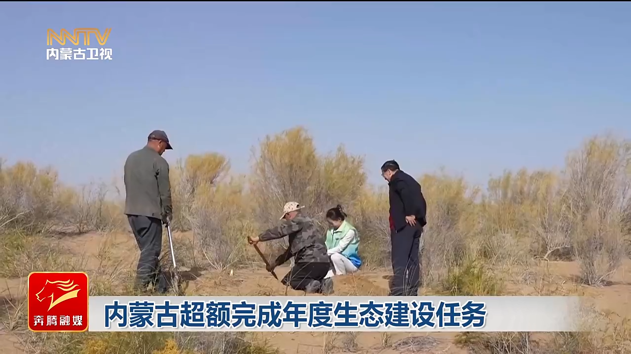 视频截图