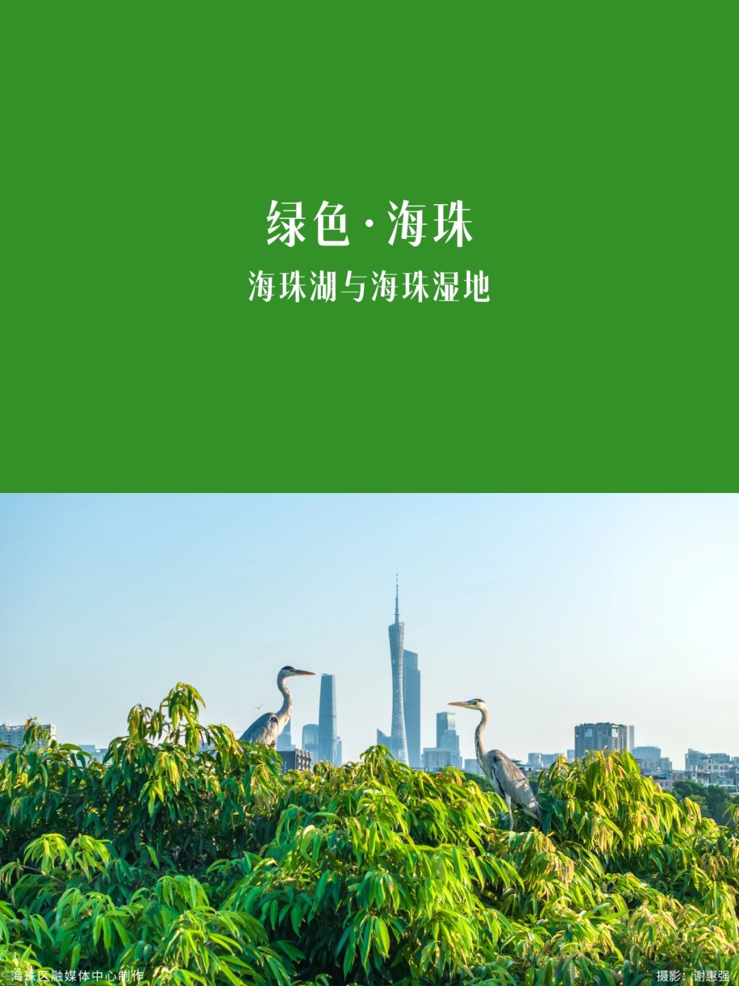微信图片_20260921142739_4966_25.png