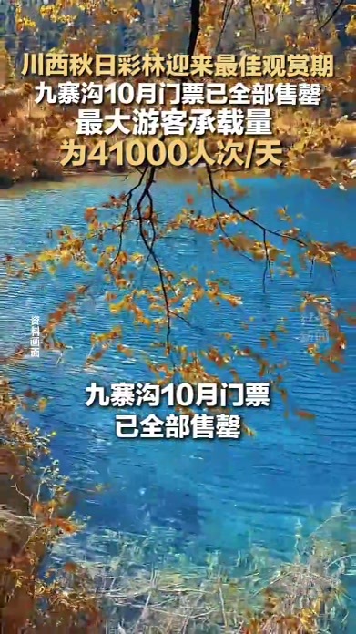 川西秋日彩林迎来最佳观赏期 九寨沟10月门票已全部售罄 最大游客承载量 为41000人次/天