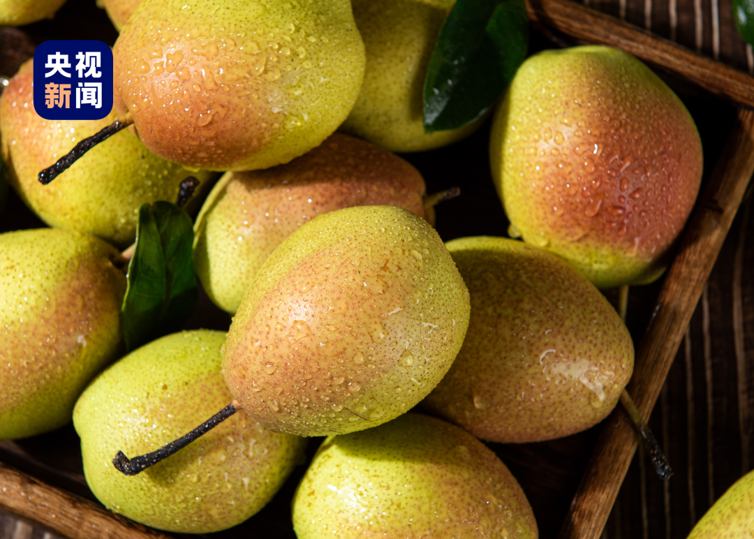 视频丨“不是打穿天山容易，而是天山那头有人民！”