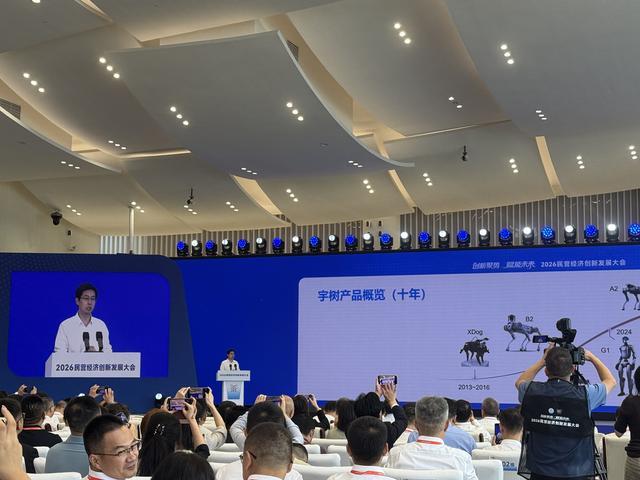 民营经济创新发展大会现场,台上嘉宾正在发言
