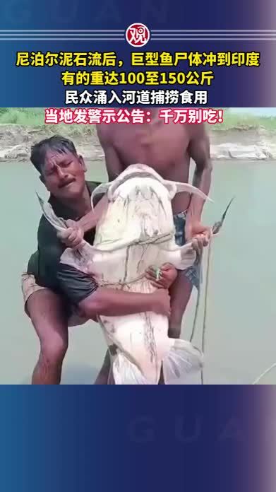 尼泊尔泥石流后，巨型鱼尸体冲到印度，有的重达100至150公斤，民众涌入河道捕捞食用 ，当地发警示公告：千万别吃
