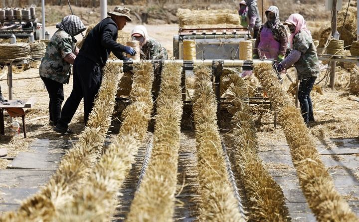 2026年4月10日，在宁夏中卫市沙坡头区迎水桥镇黑林村，治沙工人用机械编织刷状网绳式草方格。新华社记者 王鹏 摄