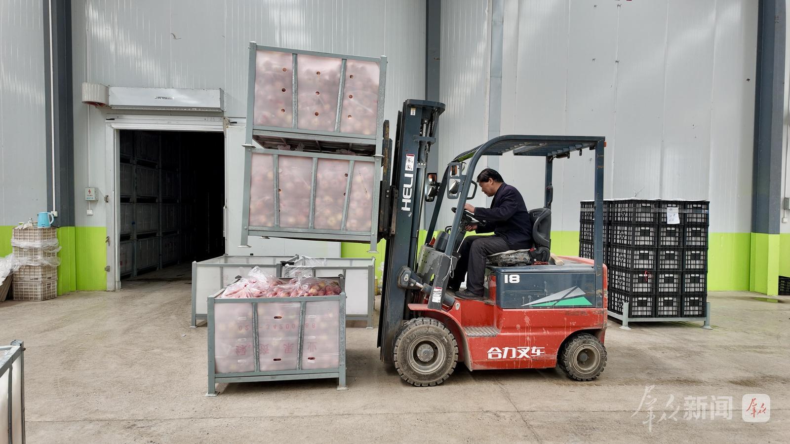 一块煤、一粒药、一颗果，三大亿元产业撑起陕西长武发展底气