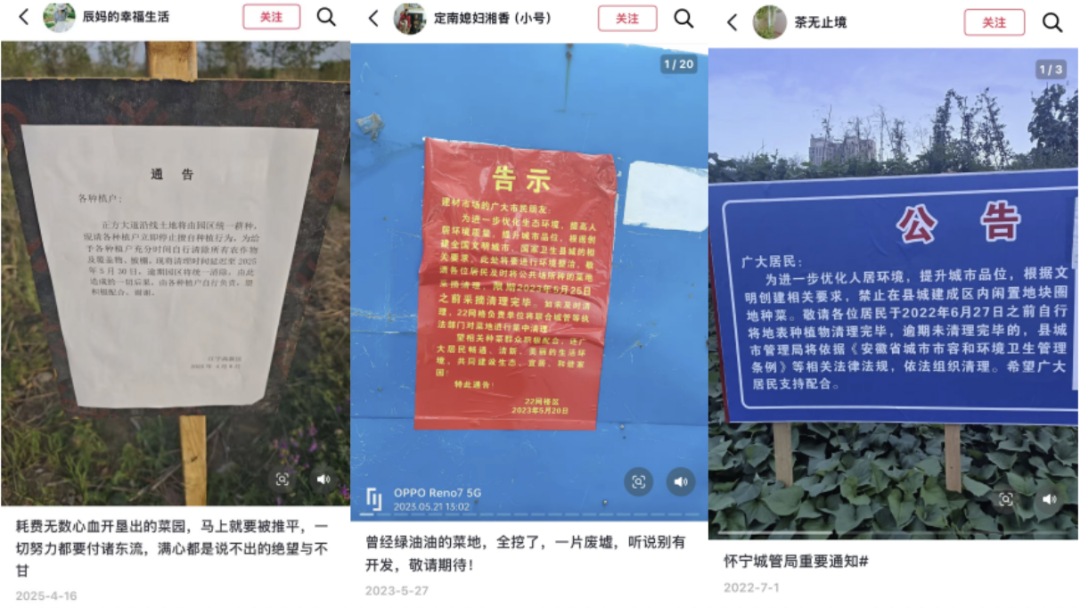 网络上各地关于清除种植农作物的公告。