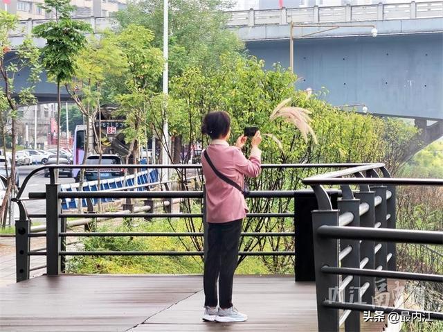 在堤顶路拍照的市民