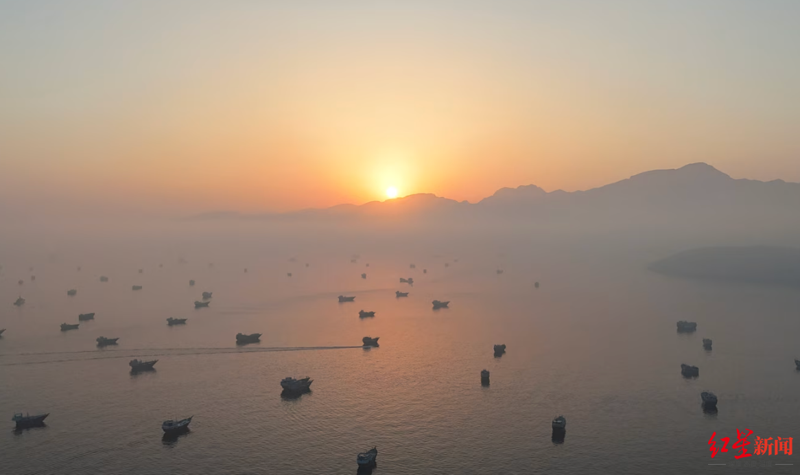 ▲ 大都船只聚拢在霍尔木兹海峡隔壁