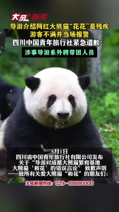 导游介绍网红大熊猫“花花”是残疾，游客不满并当场报警，四川中国青年旅行社紧急道歉：涉事导游系外聘带团人员