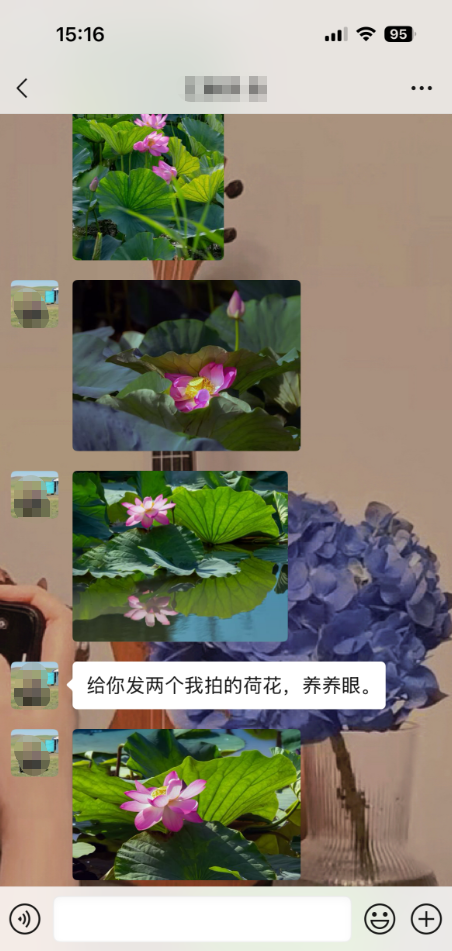 53357c4e04084dac4f071a5d01d38e1f.png
