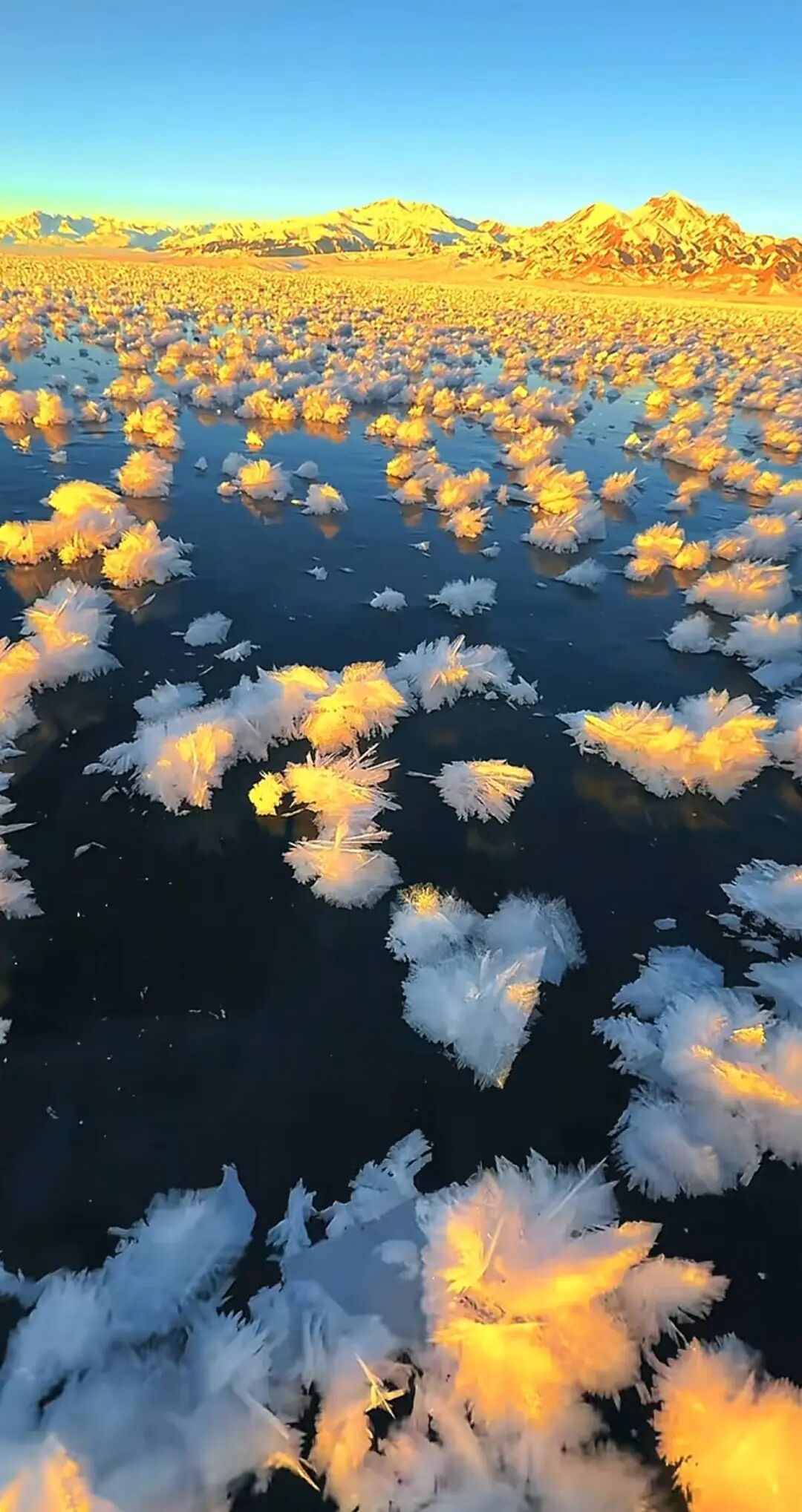 网友拍摄到的冰花