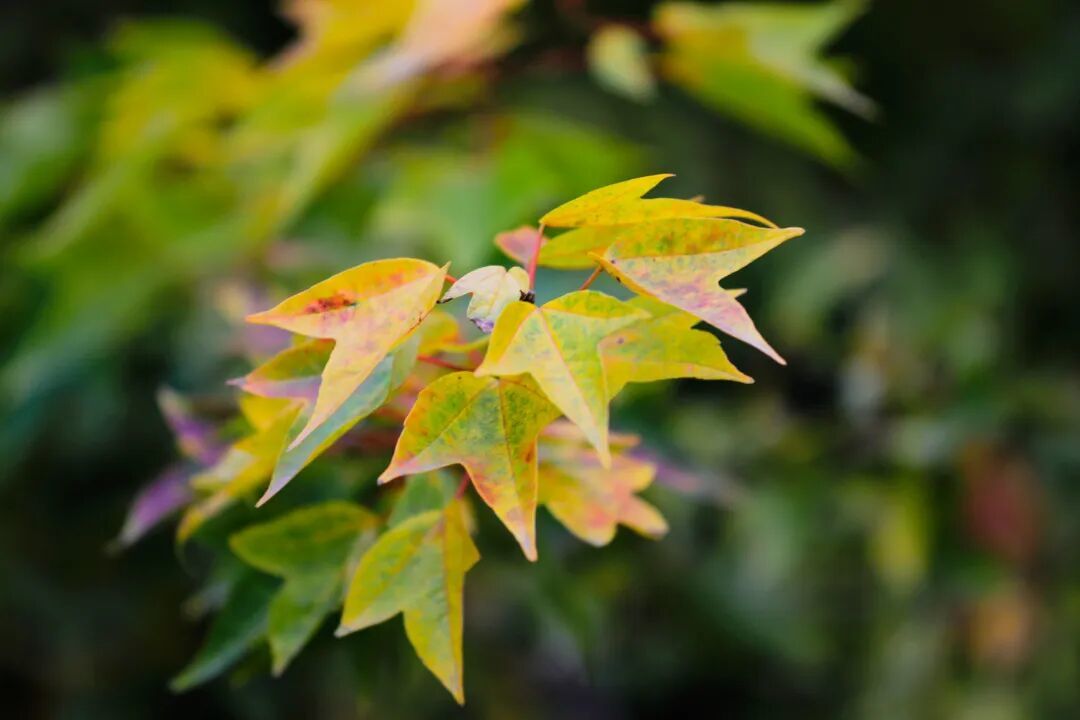 5d53d116ca610.jpg