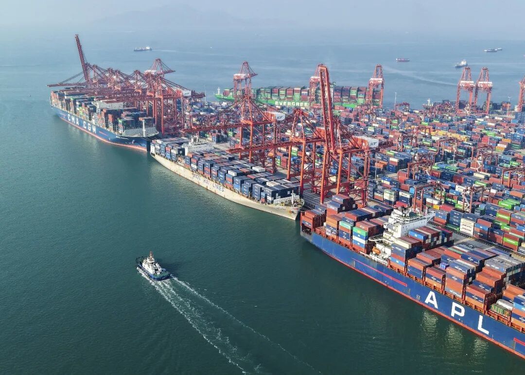 ▲深圳西部港区蛇口集装箱码头。（图源：新华社）