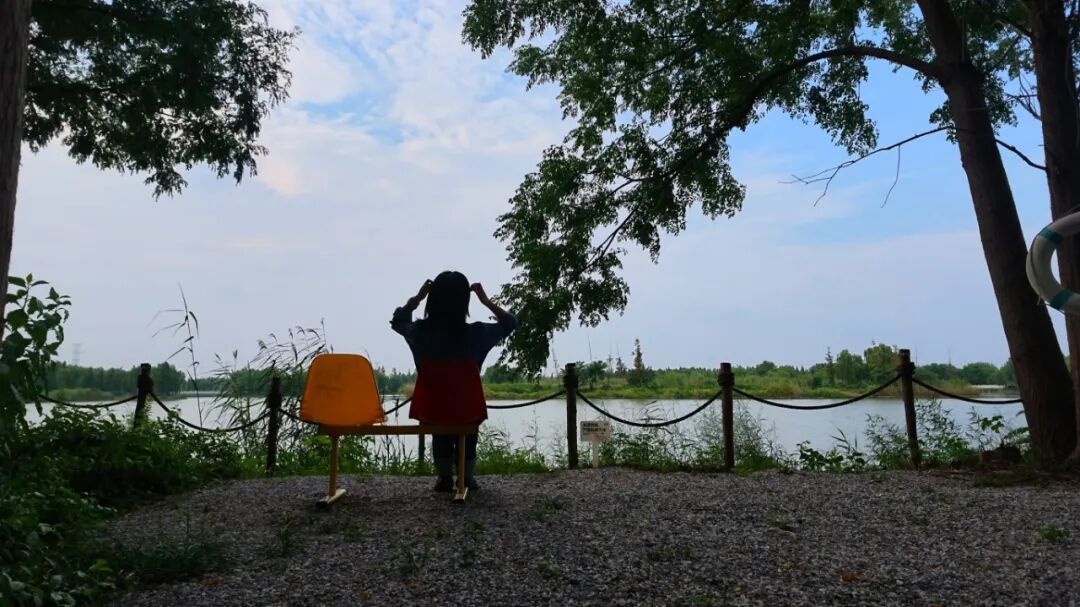 597909b7-8f00-4e2f-8f8a-bddc32c0d1c6.jpg