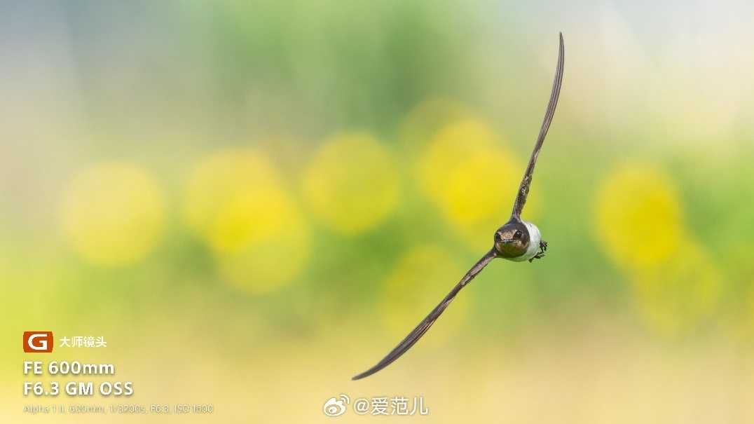 【索尼把 600mm 超长焦做到不到 1kg 了】#索尼发布两款超轻