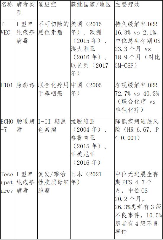 我国科学家改的病毒 能精准、有效杀死癌细胞！