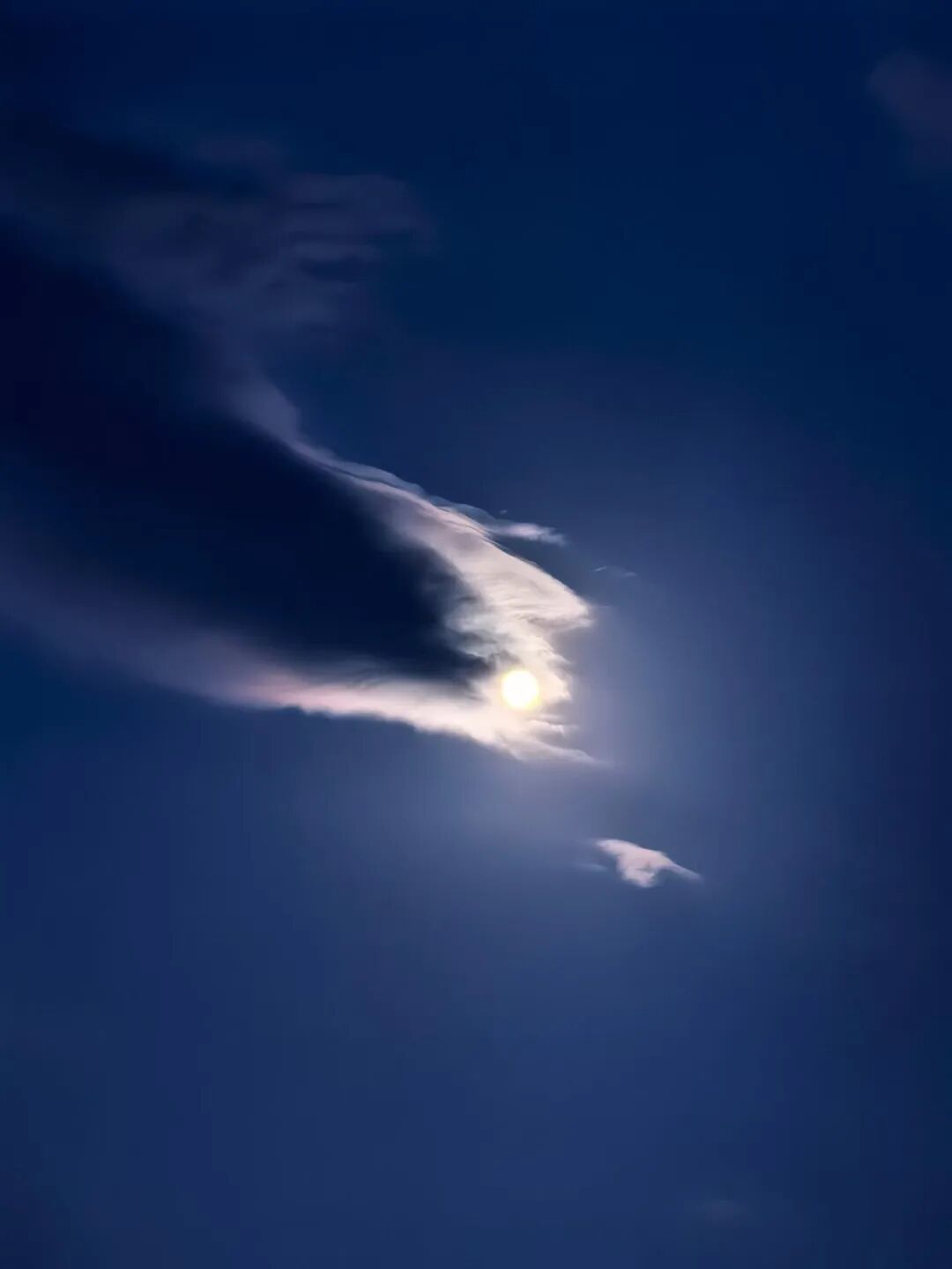微信图片_20260925204508_2708_21.jpg