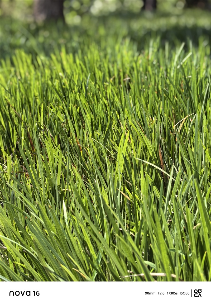 麒麟9010S+7000mAh电板 华为nova 16手机全面评测： 全系手感最优的真香款