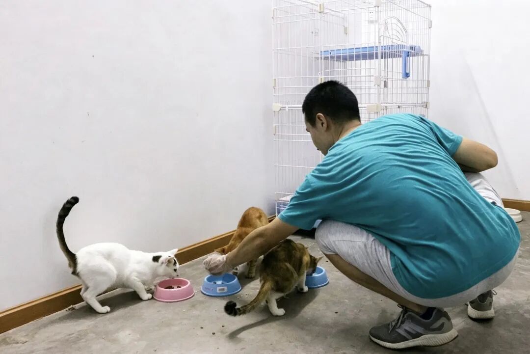 很多虐待动物事件,都是志愿者不断报案、发帖,才得以推动。