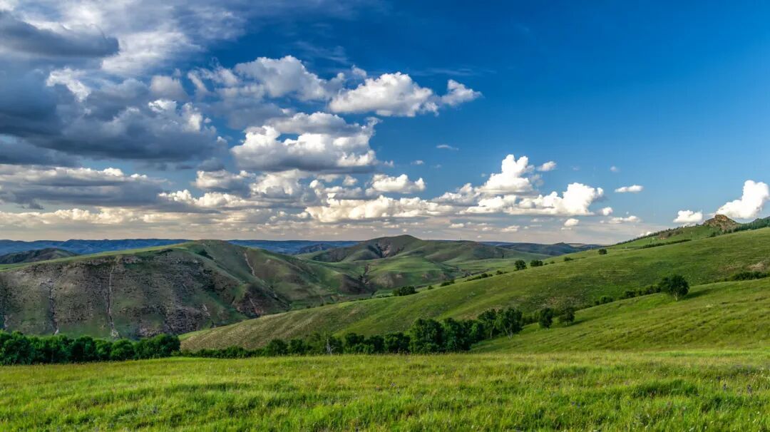 摄图网_501597365_banner_内蒙古草原避暑旅游（企业商用） (2).jpg