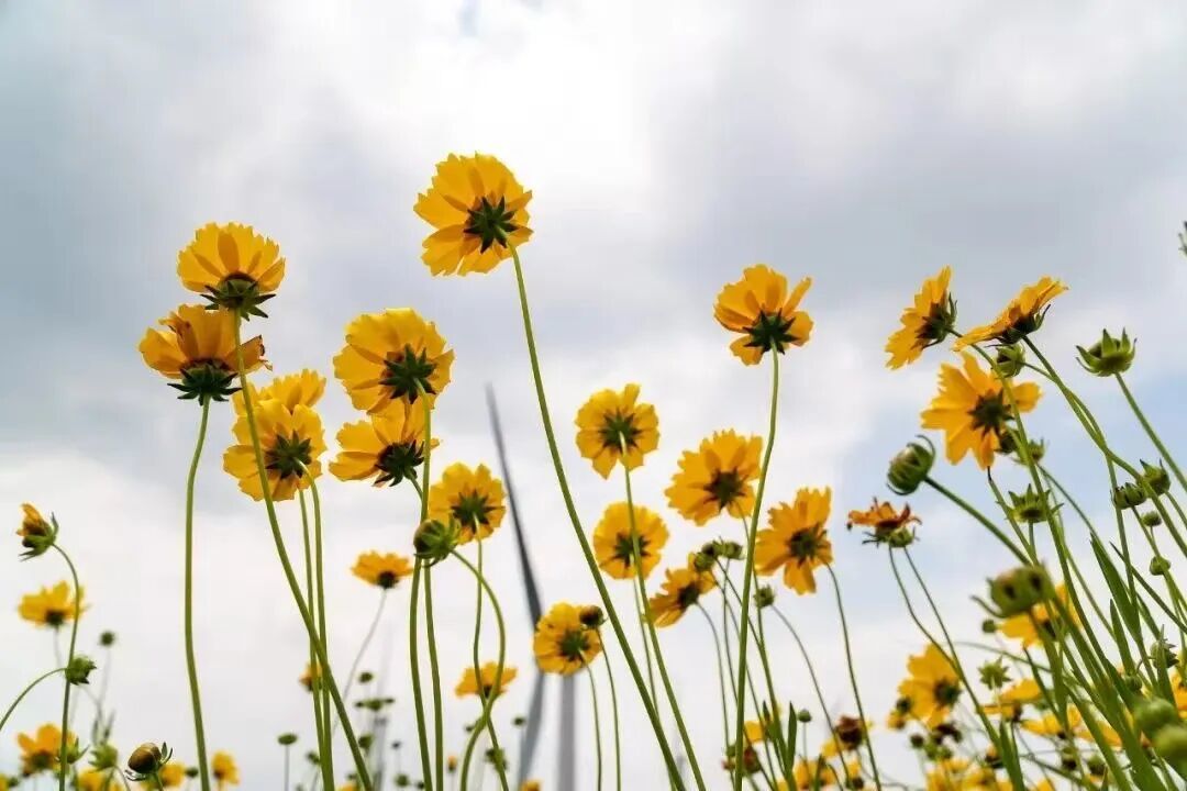 图源:“央视新闻”微信号公众号