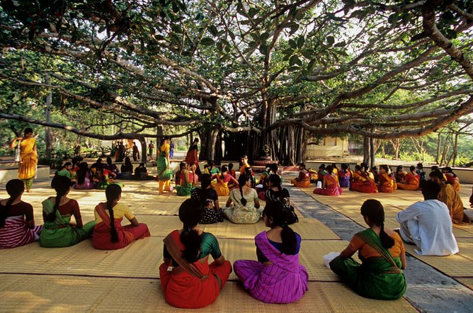 在印度,枝繁叶茂的榕树是居民们理想的活动地点。图为舞蹈演员在榕树下祷告。 (图源:美媒)