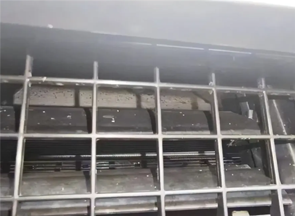 女车主喜提新奔驰 次日车身爬满蚂蚁!4S店:不属于质量问题