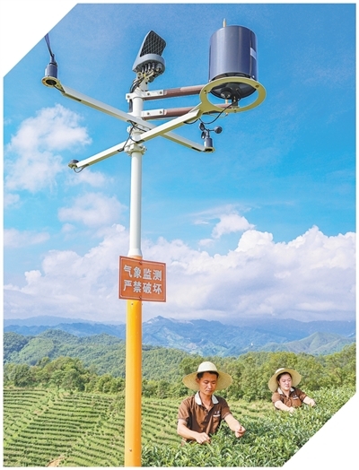 坚持“双碳”引领，推动全面绿色转型（稳中求进、提质增效 实现“十五五”良好开局）