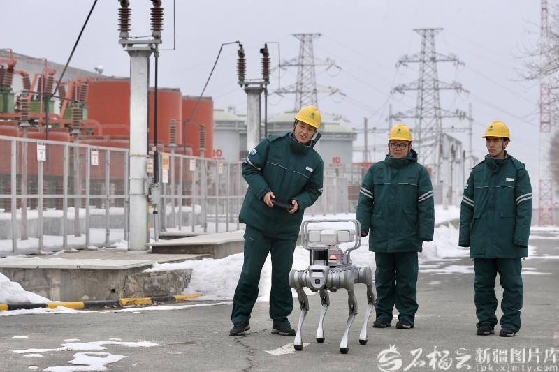 2026年1月，乌鲁木齐220千伏老满城变电站内，国网乌鲁木齐供电公司运维人员和一台智能机器人在对变电设备进行巡检。李瑞摄