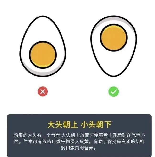 9b01f8a6cb00be52006f9940d76e5c24.jpg
