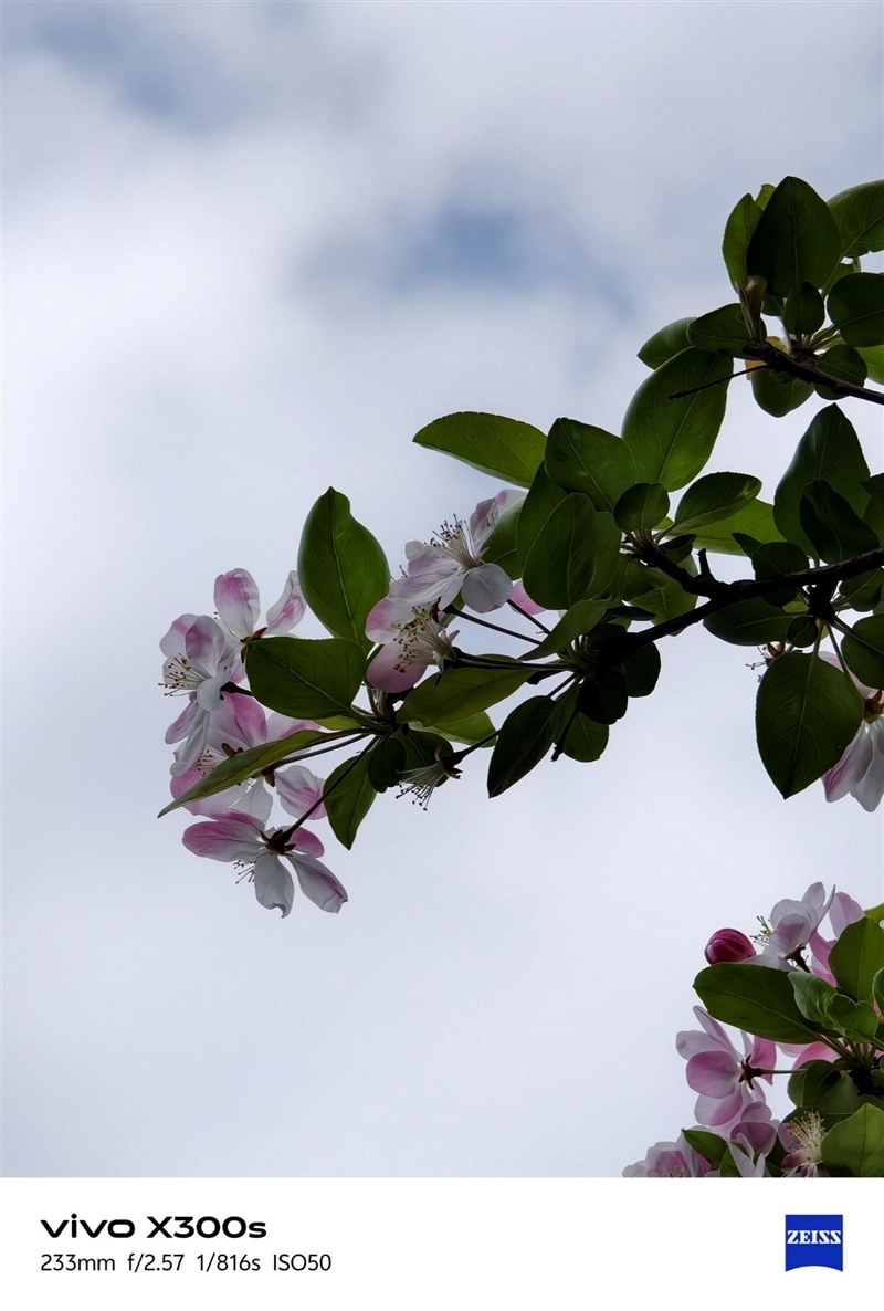天玑9500搭配蔡司影像 vivo X300s手机全面评测:省心耐用的直屏主力机