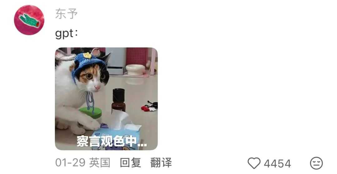(图/社交媒体截图)