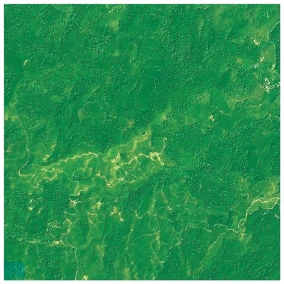 海南热带雨林国家公园五指山片区局部2026年卫星遥感图。