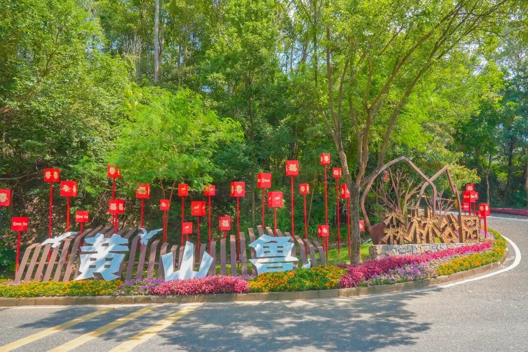 黄山鲁森林公园04.jpg
