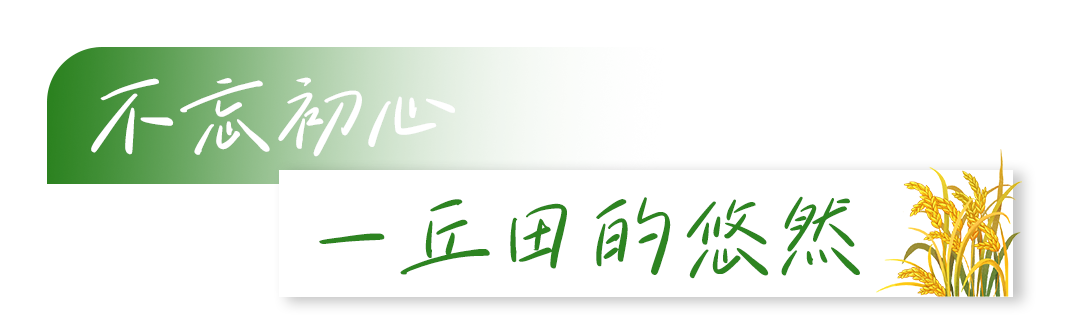 5239f8e8a116cfdf5d2ad1959aaa5179.png