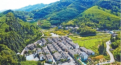 山绿了，日子越过越美（身边的净土保卫战）