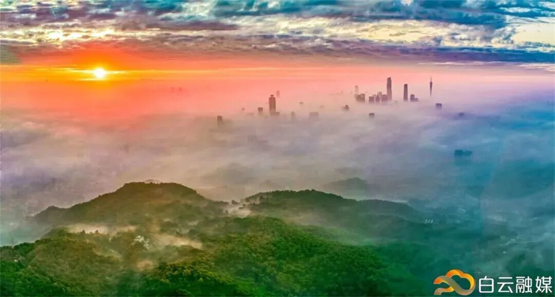 微信图片_2026-06-01_180905_617.jpg
