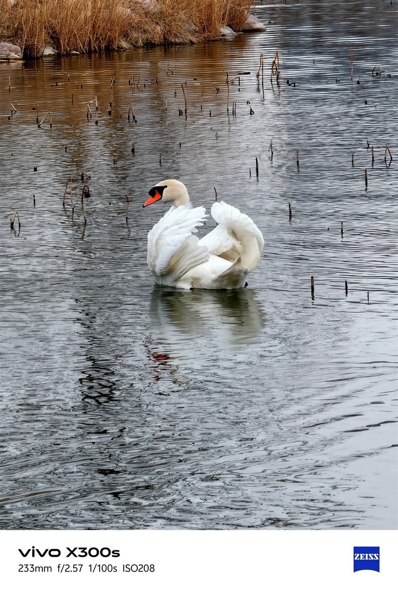 天玑9500搭配蔡司影像 vivo X300s手机全面评测:省心耐用的直屏主力机