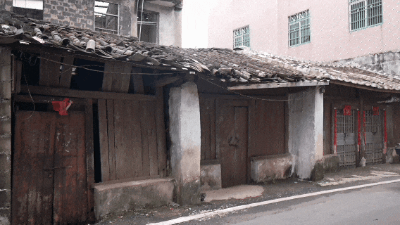 10月11日(6).gif
