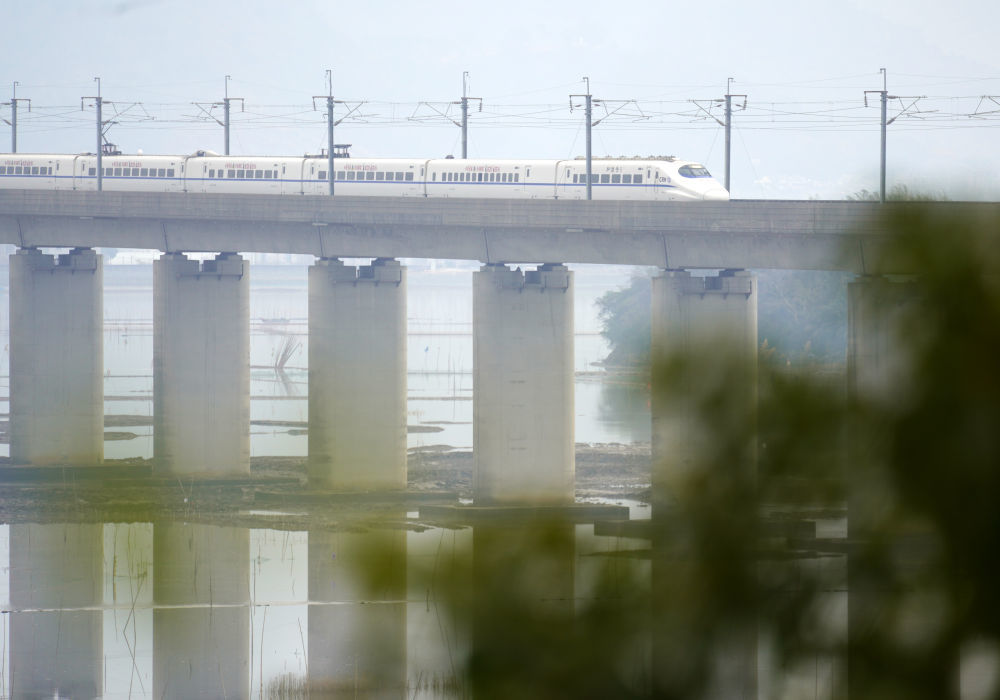 ↑ 1月25日,动车组列车行驶在浙江省乐清市境内。新华社发(蔡宽元 摄)