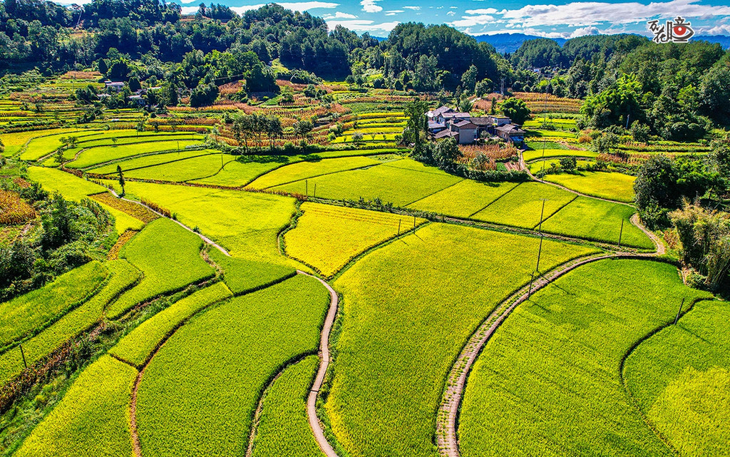 02 涪陵区:涪陵区融媒体中心 记者 黄河 蒋欢 (2)
