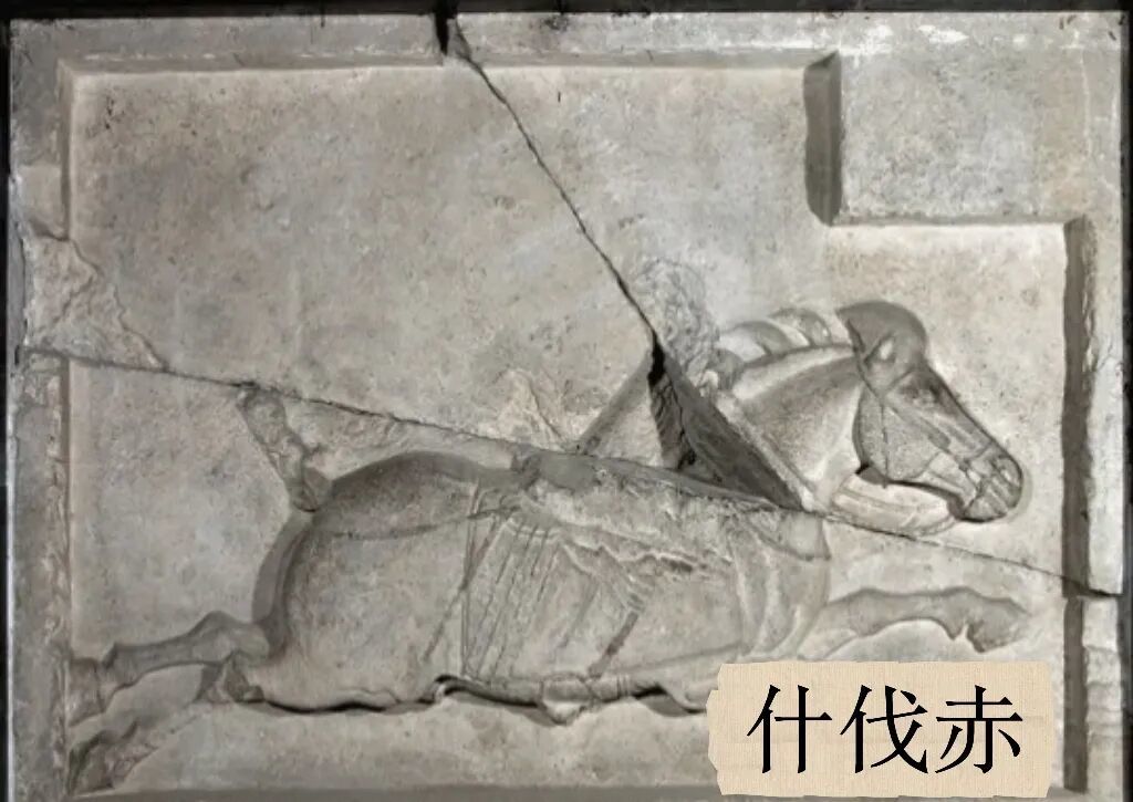 为什么马到了就会成功?