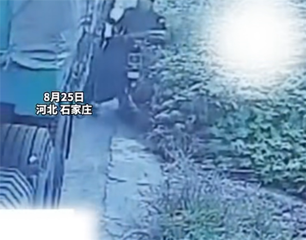 货车司机遇影帝级碰瓷:老人自己把车推沟里后装受伤要钱 赔付完发现上当
