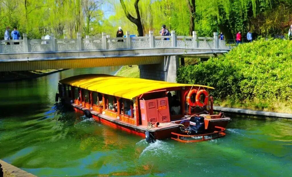 划船、赏花、遇见小动物，尽情享受初夏时光