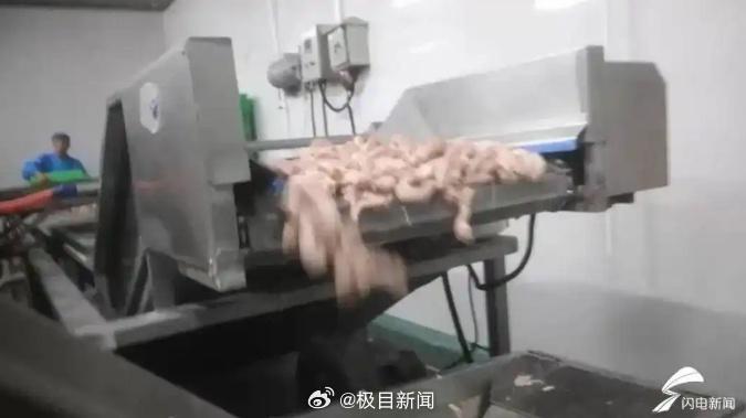 #鸡脖泥做牛肉丸消费者岂能蒙在鼓里#【极目锐评|鸡脖泥做成牛丸烤肠,