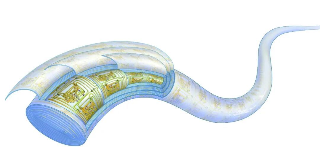 纤维芯片结构示意图。研究团队供图