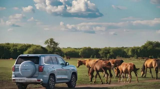 高速一天干1800公里，真的亲身经历过，18小时从福建开到石家庄不罚单，全程只停3次加油泡面不等人-有驾