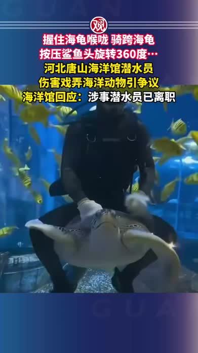 握住海龟喉咙、骑跨海龟、按压鲨鱼头旋转360度…河北唐山海洋馆潜水员伤害戏弄海洋动物引争议，海洋馆回应：涉事潜水员已离职