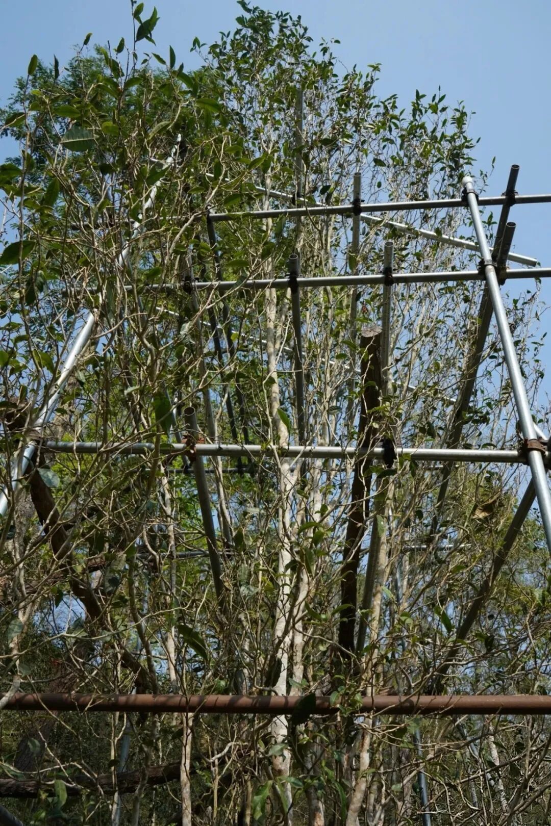 微信图片_20260920160125_623_120.jpg