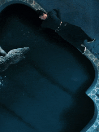 _生存指南app_生存指南谁写的