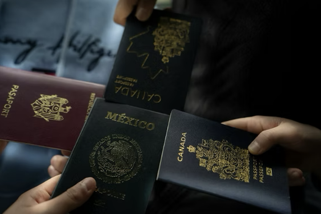 图源dailymail 版权属于原作者